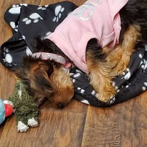 Meet your Posher, Jeri